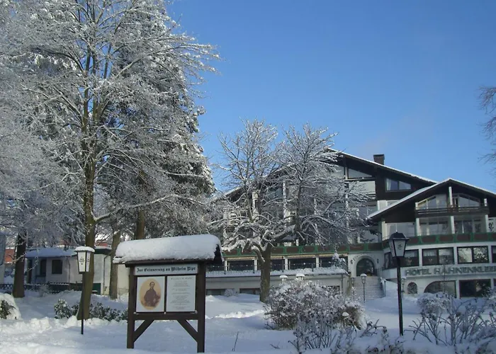 فندق Hahnenkleer Hof 4*